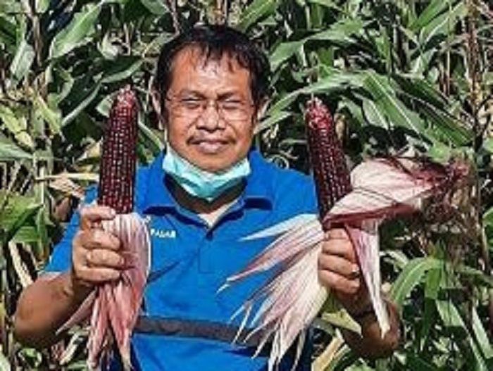 Kabar Duka Cita, Kadis Pertanian Denpasar Bali, Gede Ambara Putra Berpulang