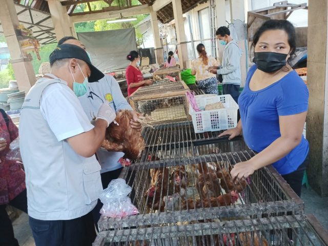 Antisipasi Penyebaran Virus AI, Distan Denpasar Cek Unggas di Pasar Kumbasari